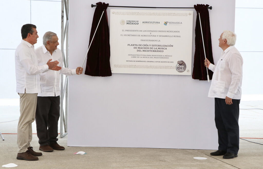 Amlo Y Rutilio Escand N Inauguran Planta De Cr A Y Esterilizaci N De Machos De Mosca Del